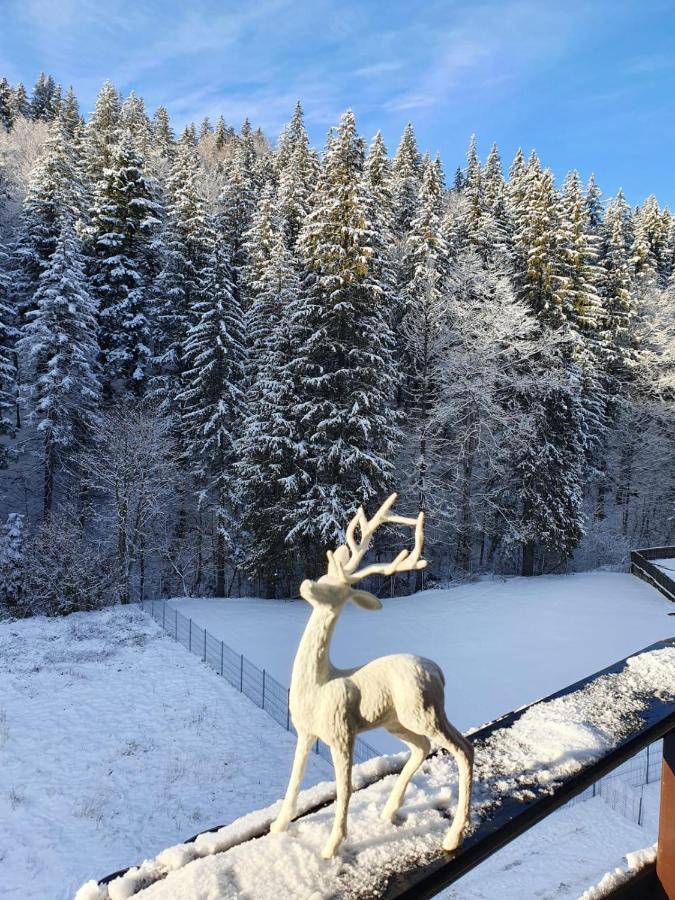 Apartament Ozon Poiana Brasov Bagian luar foto