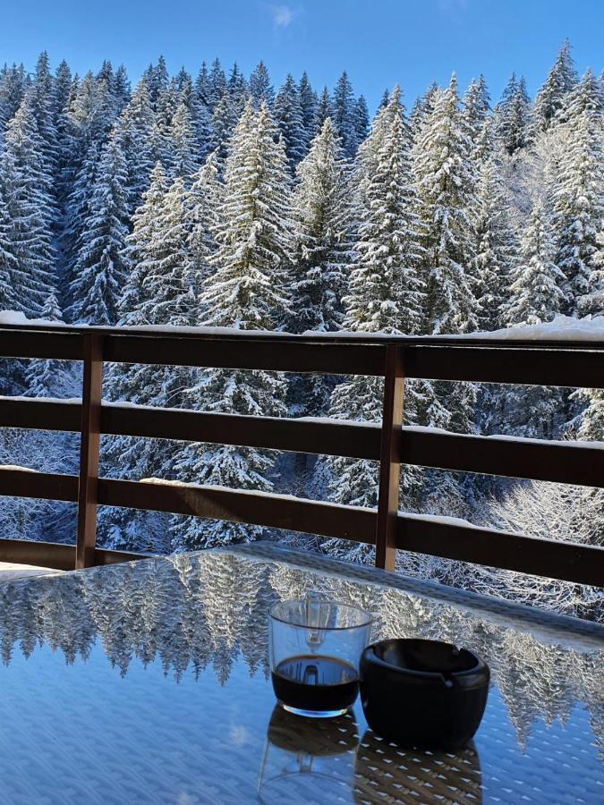Apartament Ozon Poiana Brasov Bagian luar foto